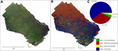 High-resolution 3D mapping of cold-water coral reefs using machine learning